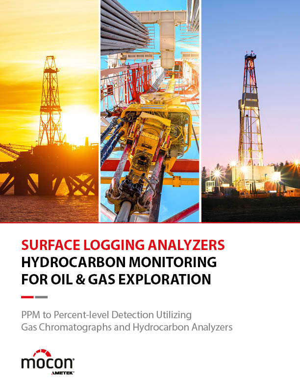  地面测井分析仪